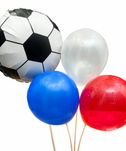 FRANCE IN FIFA WORLD CUP QATAR 2022