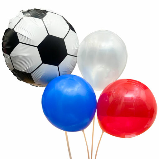 FRANCE IN FIFA WORLD CUP QATAR 2022