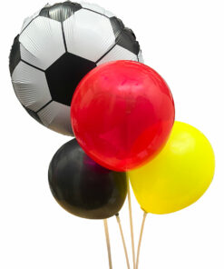 GERMANY IN FIFA WORLD CUP QATAR 2022