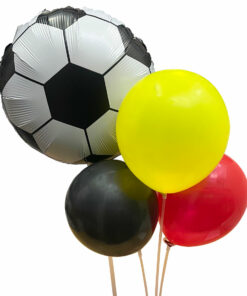 BELGIUM IN FIFA WORLD CUP QATAR 2022