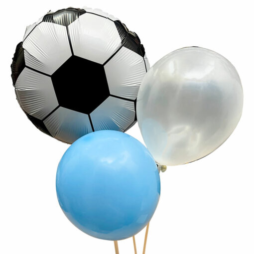 ARGENINA IN FIFA WORLD CUP QATAR 2022