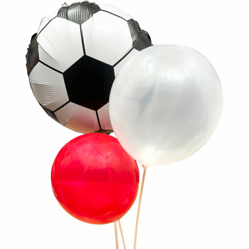 JAPAN IN FIFA WORLD CUP QATAR 2022